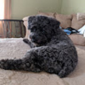 Meet your Posher, Nora